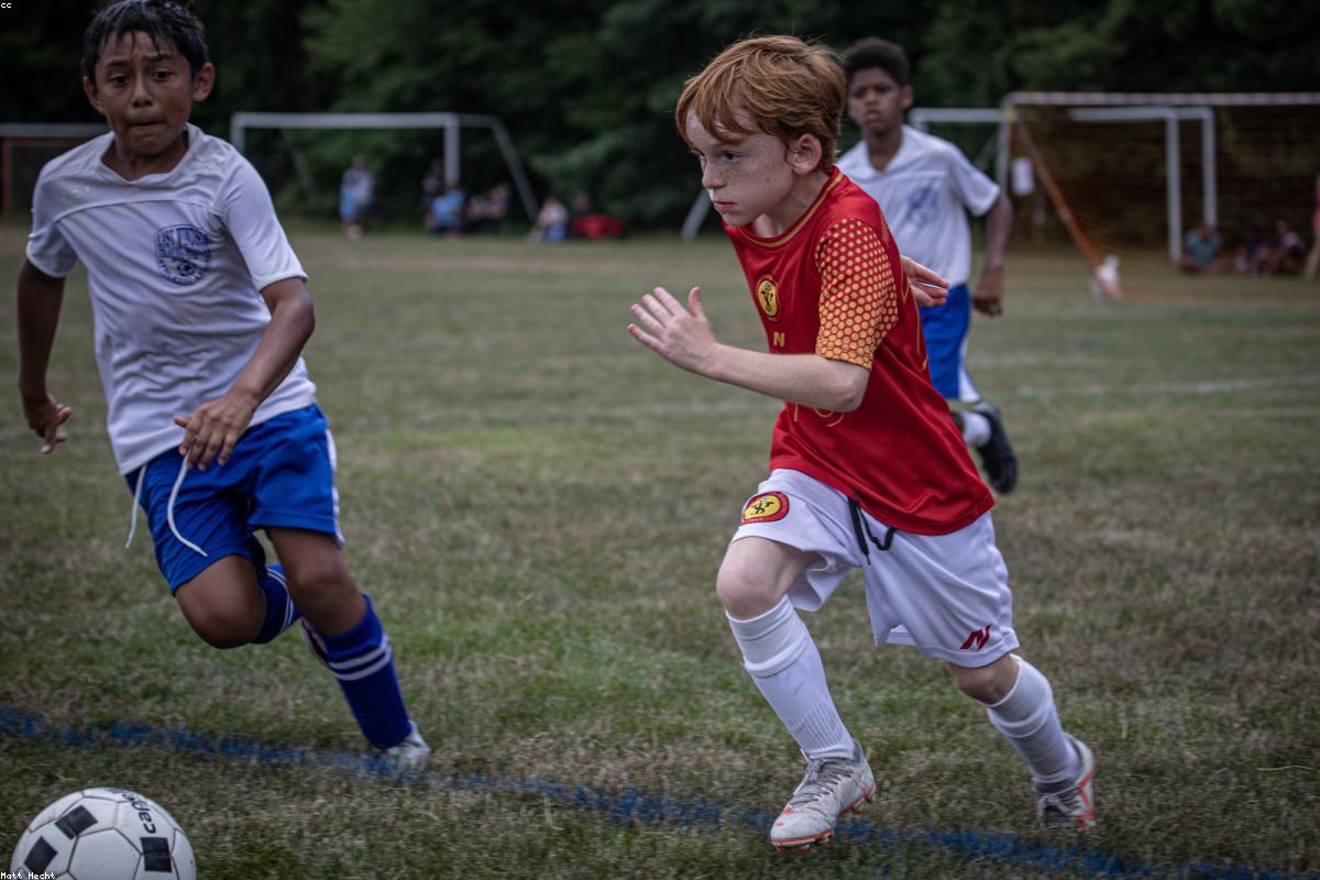 世界杯哪里看直播：搜索关键词与授权渠道识别